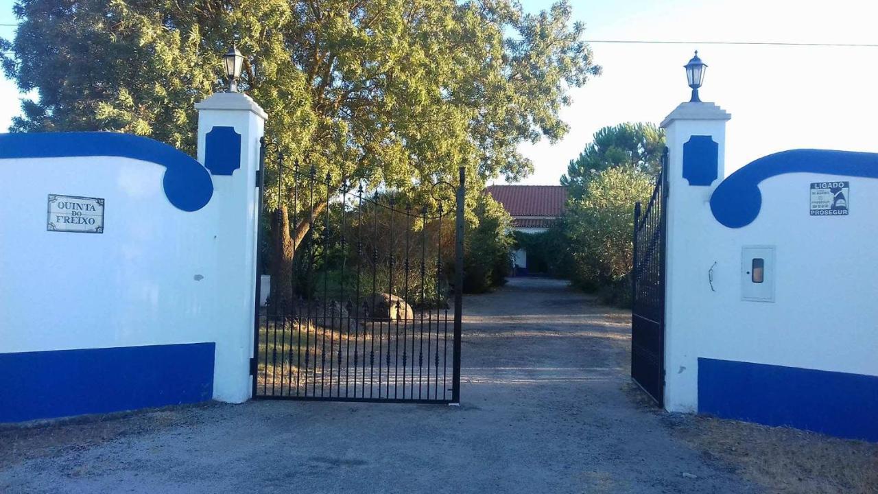Quinta Do Freixo Bed & Breakfast Регуенгос де Монсараз Екстериор снимка